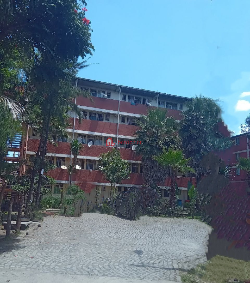 German mebirat 20*80 Condos for sale 73 Studio rooms 3nd floor