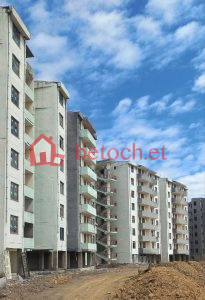 Bole Arabsa Condos for sale 20*80 