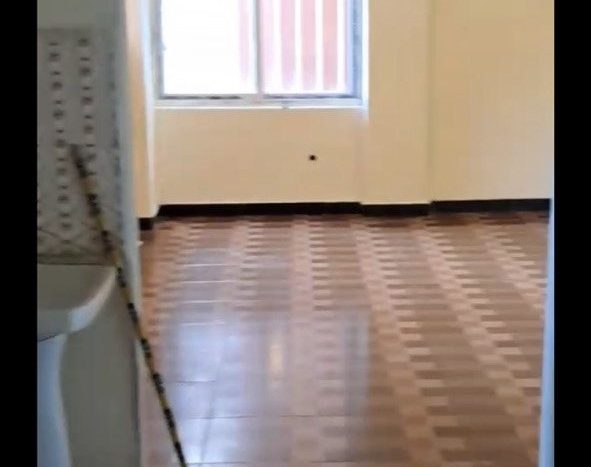 Bole Bulbula 20*80 for sale & price