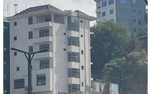 G+4 Designer Villa for Rent in Megenagna